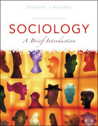 Sociology: A Brief Introduction, Second Edition