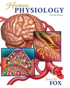 Human Physiology